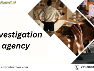 Which is the Best Matrimonial Detective Agency for Investigation?