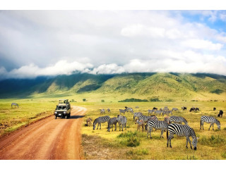 Tanzania Safari Tours: The Adventure Trips