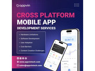 Cross-platform application development services
