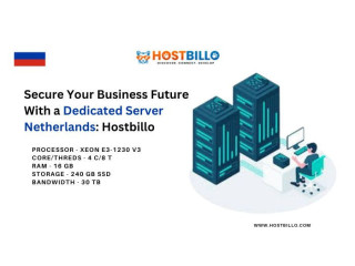 Secure Your Business Future With a Dedicated Server Netherlands: Hostbillo