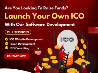 ICO Development Company In United States!