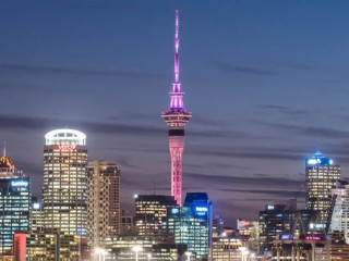 TV Aerial in NZ