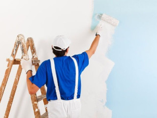 Interior House Painter Auckland