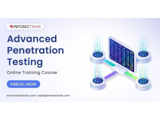Master Penetration Testing: Online Training for Cybersecurity Professionals