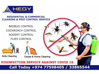 Top Class Pest Control & Cleaning Services in Doha Qatar