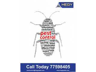 Integrated Pest Management Services In Doha Qatar