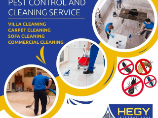 Experts House & Office Deep Cleaning Services In Doha Qatar