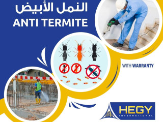 Anti - Termite Treatment Services in Doha - Qatar