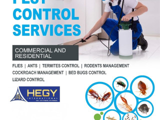 Warehouses, Factories Pest Control Services in Qatar