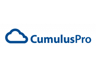Refine Business via BPM Platform from Cumuluspro