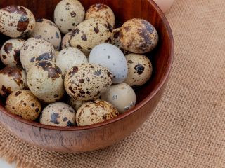 Get Premium Century Eggs In Singapore From Dasoon