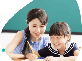 Comprehensive IB Tuition for Scholastic Excellence