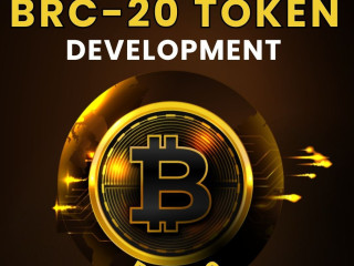 Create Your Own Feature-Rich BRC20 Token in 1 Day