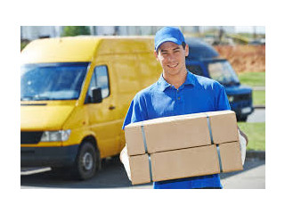 Speedy and Reliable Courier Services You Can Trust