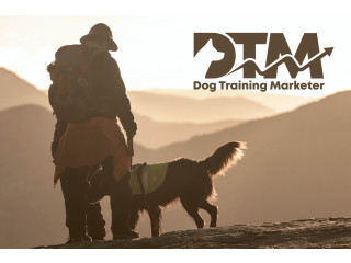 Best Dog Training Advertising Agency