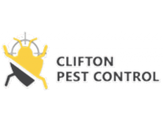 Our Pest Control Bristol Service Will Blow Your Mind