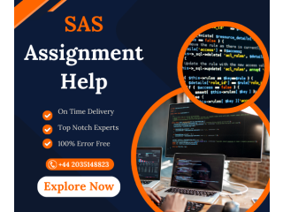 Avail No 1 SAS Assignment Help for UK Students