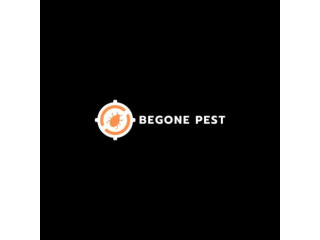 Rest Easy Again: Eradicate Bed Bugs with Begone Pest in Bromley