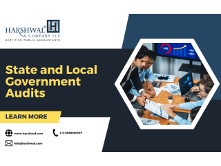 Accounting for State and Local Government Experts