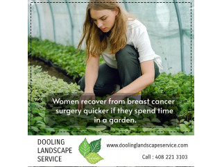 Women recover from breast cancer surgery quicker if they spend time in a garden.