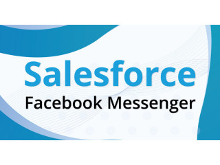 Salesforce Instagram Integration 360smsapp