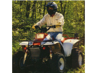 Michigan offers a wide selection of thrilling ATV rentals