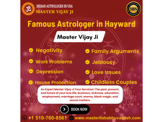 Famous Astrologer in Hayward