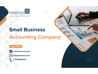 Small Business Accounting Company You Can Trust - Harshwal & Company LLP