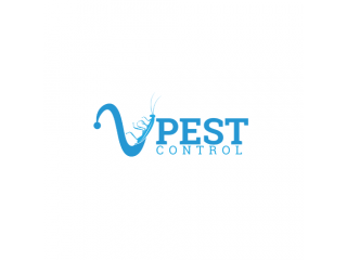 Rodent Control in Miami: Ensuring a Safe and Healthy Home