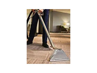 Revitalize Your Floors: Best Cleaner for Wood Floors Service