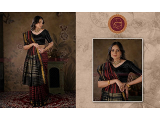 From Royalty to Runway: The Enduring Appeal of Ikat Patola Silk Sarees