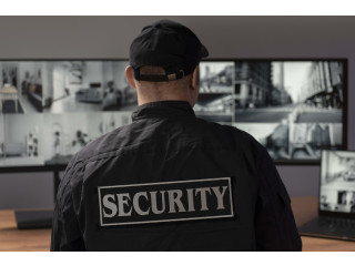 Experience Unmatched Protection with Virtual Security Guards