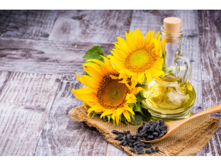 Nourish Your Skin: Cliganic's Carrier Oils!