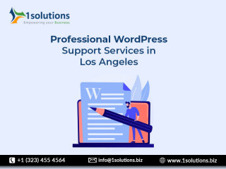 Professional WordPress Support Services in Los Angeles