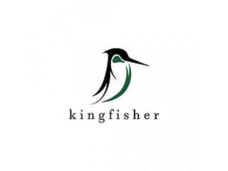 Business Strategy Consulting - Kingfisher Growth Strategies