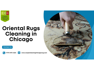Why Do Oriental Rugs Cleaning in Chicago After Holidays?