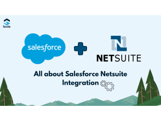 Your Complete Guide to Salesforce NetSuite Integration