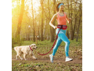 Light Up the Night: Solar-Powered Dog Collars for Enhanced Visibility