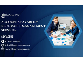 Expert Accounts Payable & Receivable Management Services | BlueArrow CPAs