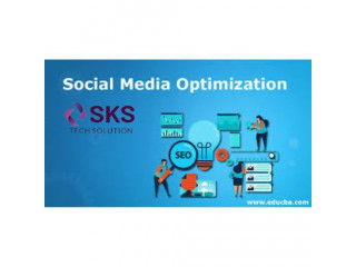 Expert Social Media Optimization Services