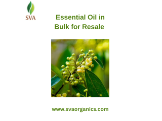 Essential Oil in Bulk for Resale in the USA