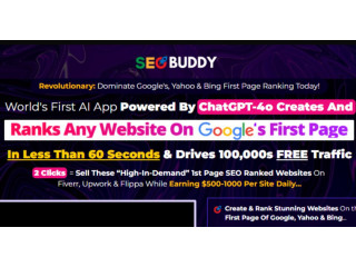 SEOBuddy Review: Rank Your Websites Any Search Engines