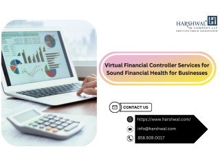 Reliable Virtual Financial Controller for Small Businesses