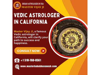 Vedic Astrologer Specialists California