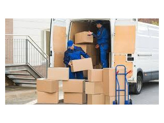 Professional Packing Services in Ladue, MO