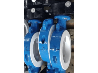 Wafer Butterfly Valve Supplier in Mexico