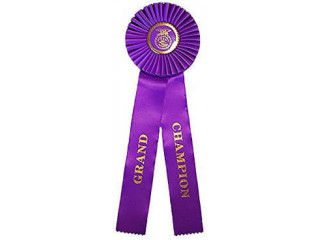 Celebrate Excellence with Blue Ribbon Trophies & Awards