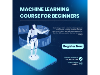 Machine Learning Course for Beginners in Zirakpur.