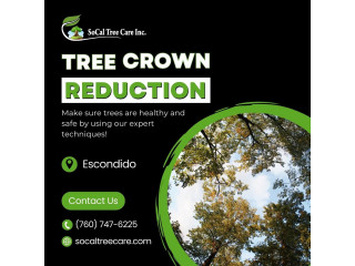 Tree Crown Reduction in Escondido