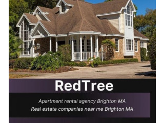 Pick a Cozy 3 Bedroom Home With Yard Hiring an Apartment Rental Agency Brighton MA